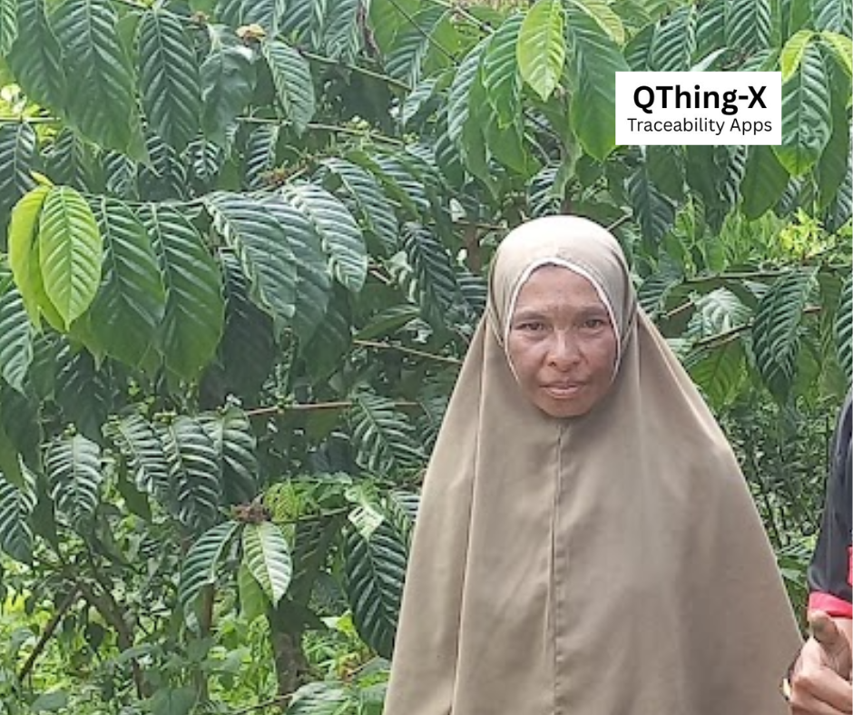 Pitra Leli - Farmer Photo